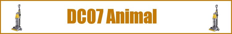 DC07 Animal