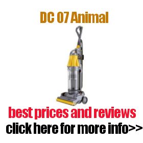 DC07 Animal